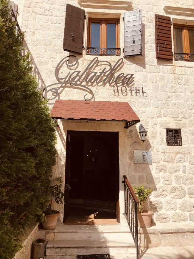 Art Galathea Kotor