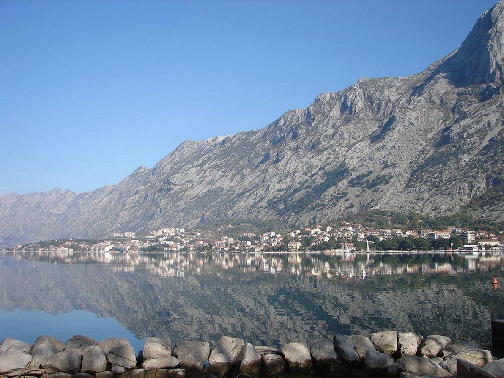 Art Galathea 3* Kotor